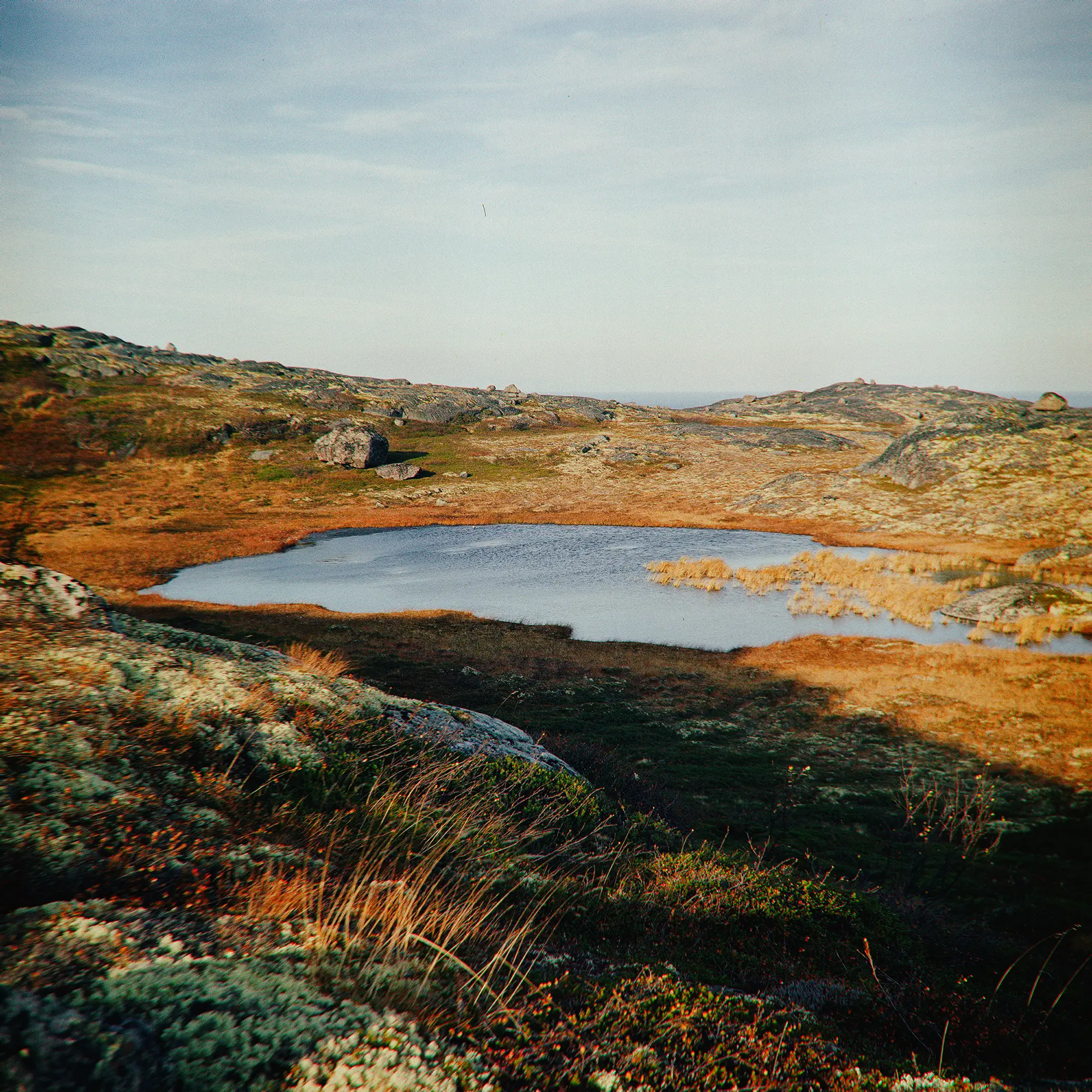 Yulia Adamova's Medium Format Landscapes from Russia's North