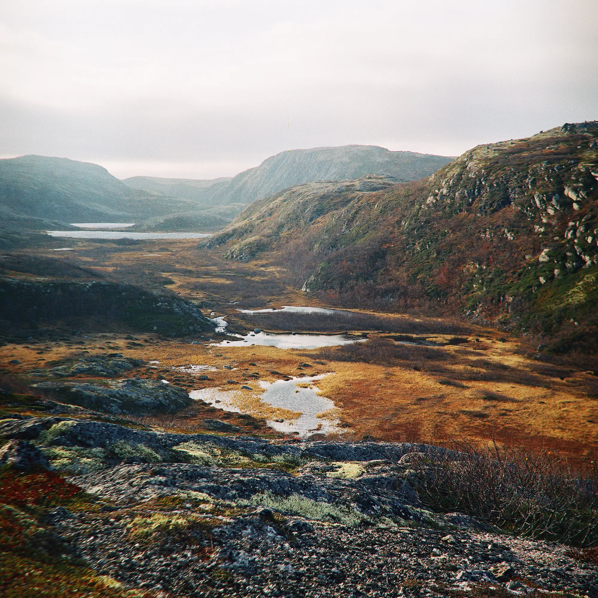 Mountain valley with multiple small lakes and streams cutting through autumn-colored moorland.