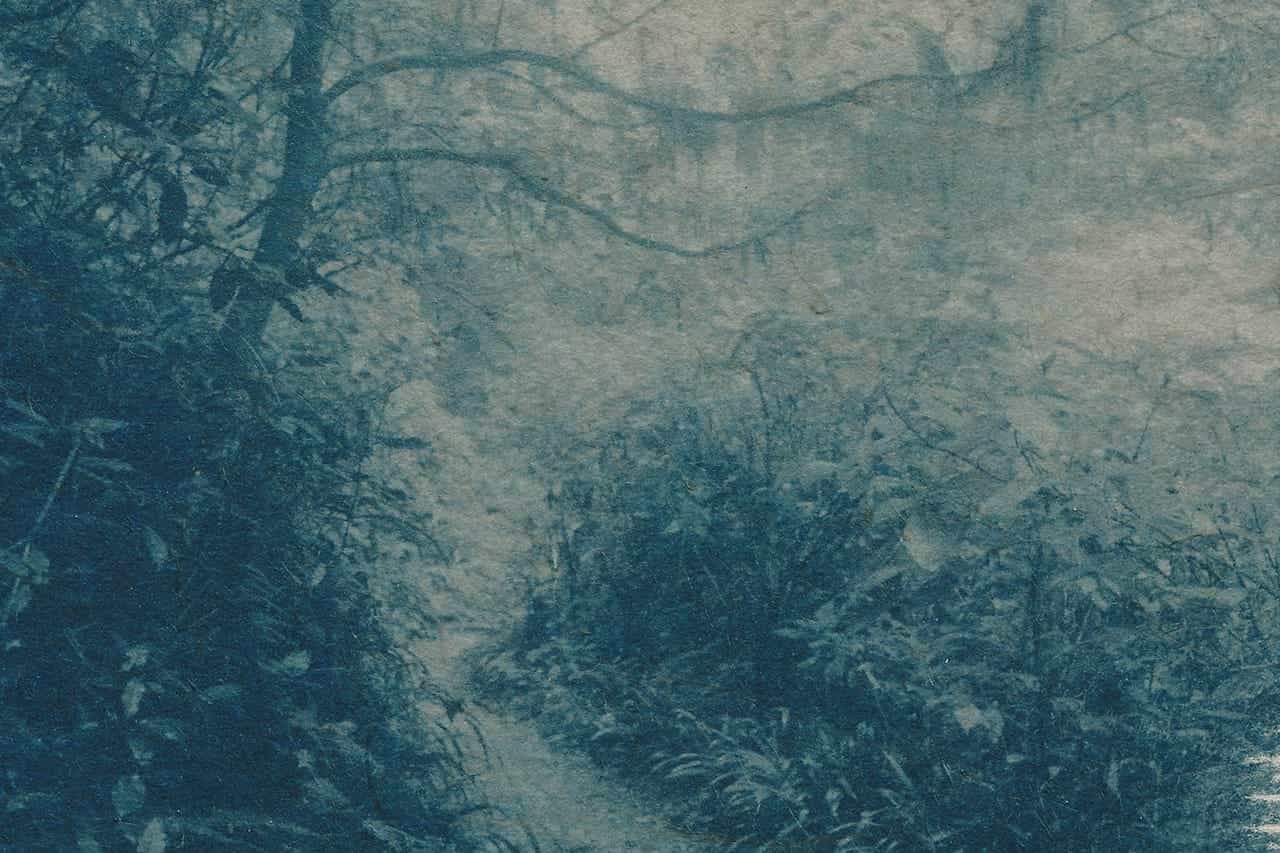 Cyanotype