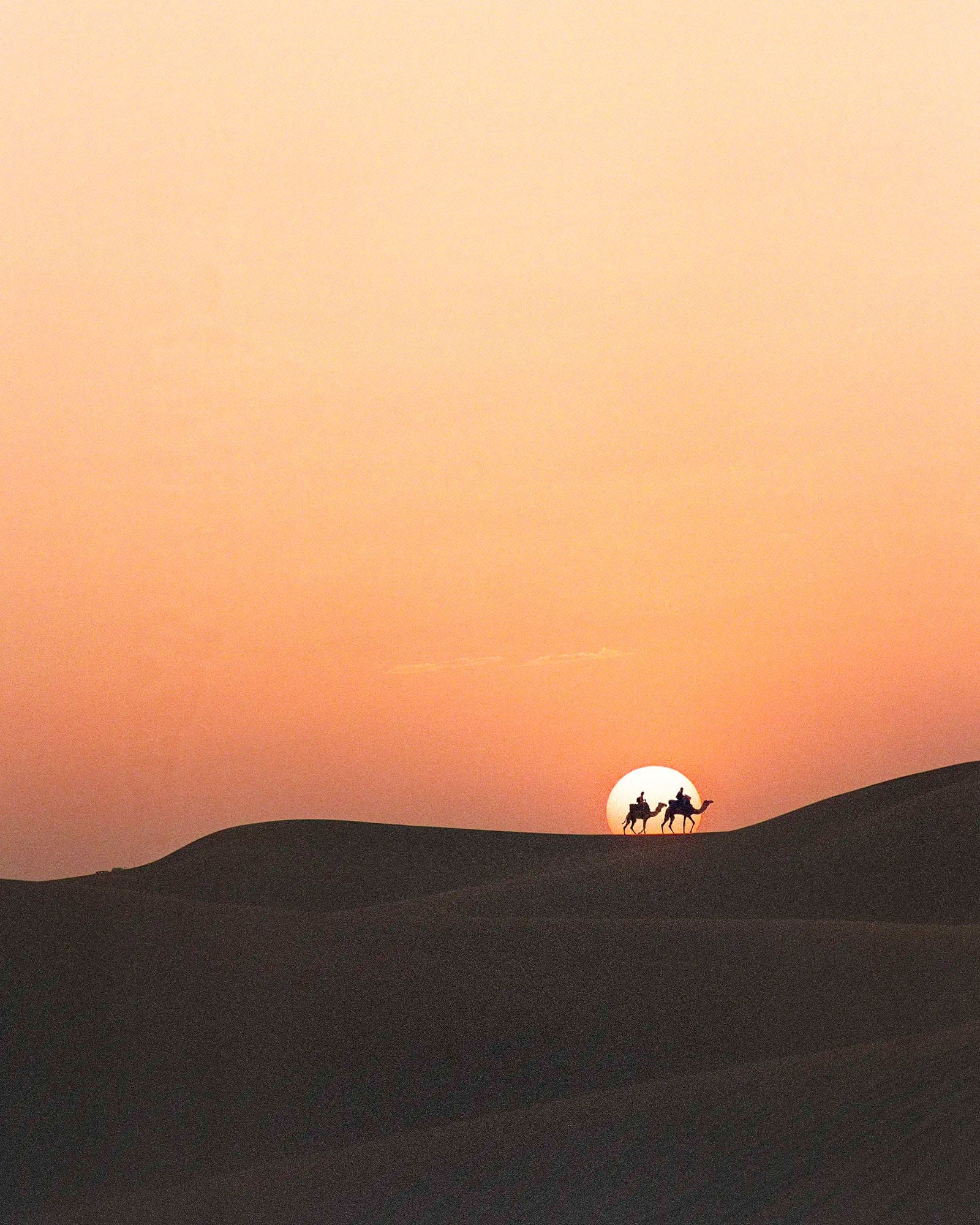 Two camel riders silhouetted against setting sun on desert sand dune ridge.