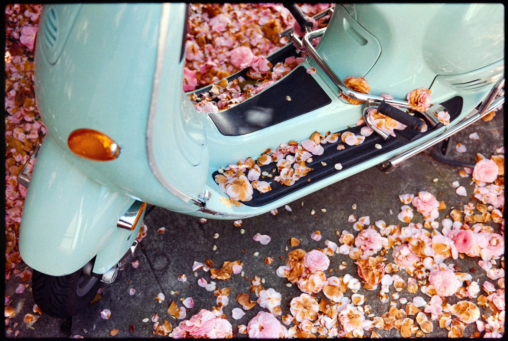 Overhead view of mint green Vespa scooter with scattered pink and orange flower petals on chrome details and black seat.