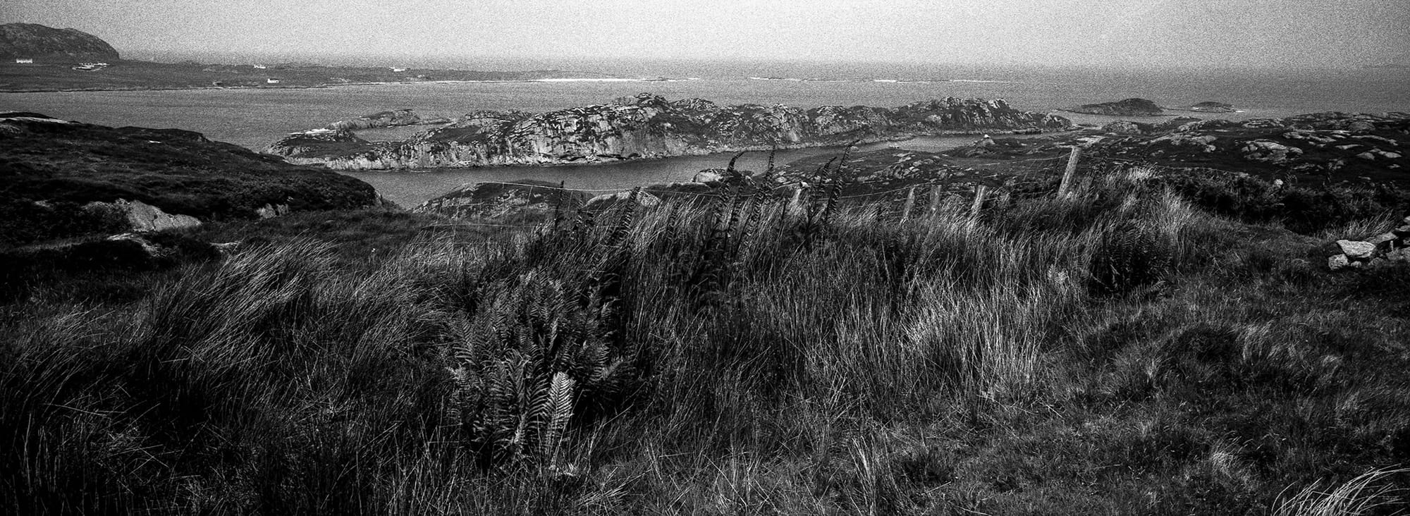 Coastal grassland overlooks rocky shoreline with bay and distant hills under overcast sky.