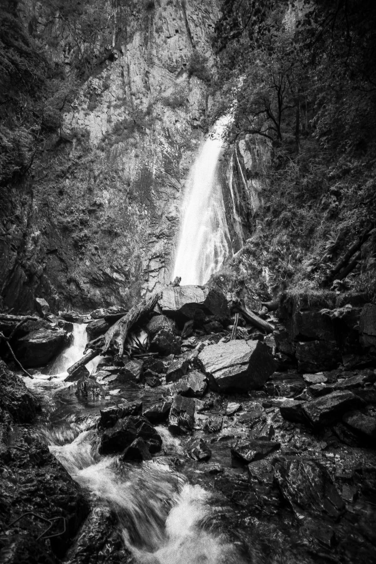 Waterfall cascades over rocks through dense forest with scattered debris below.