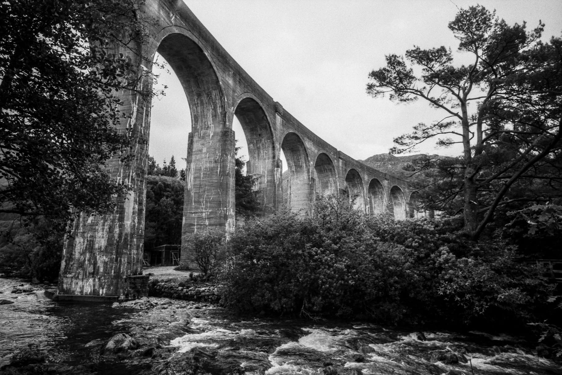 Stone railway viaduct spans river with multiple arches and surrounding pine trees.