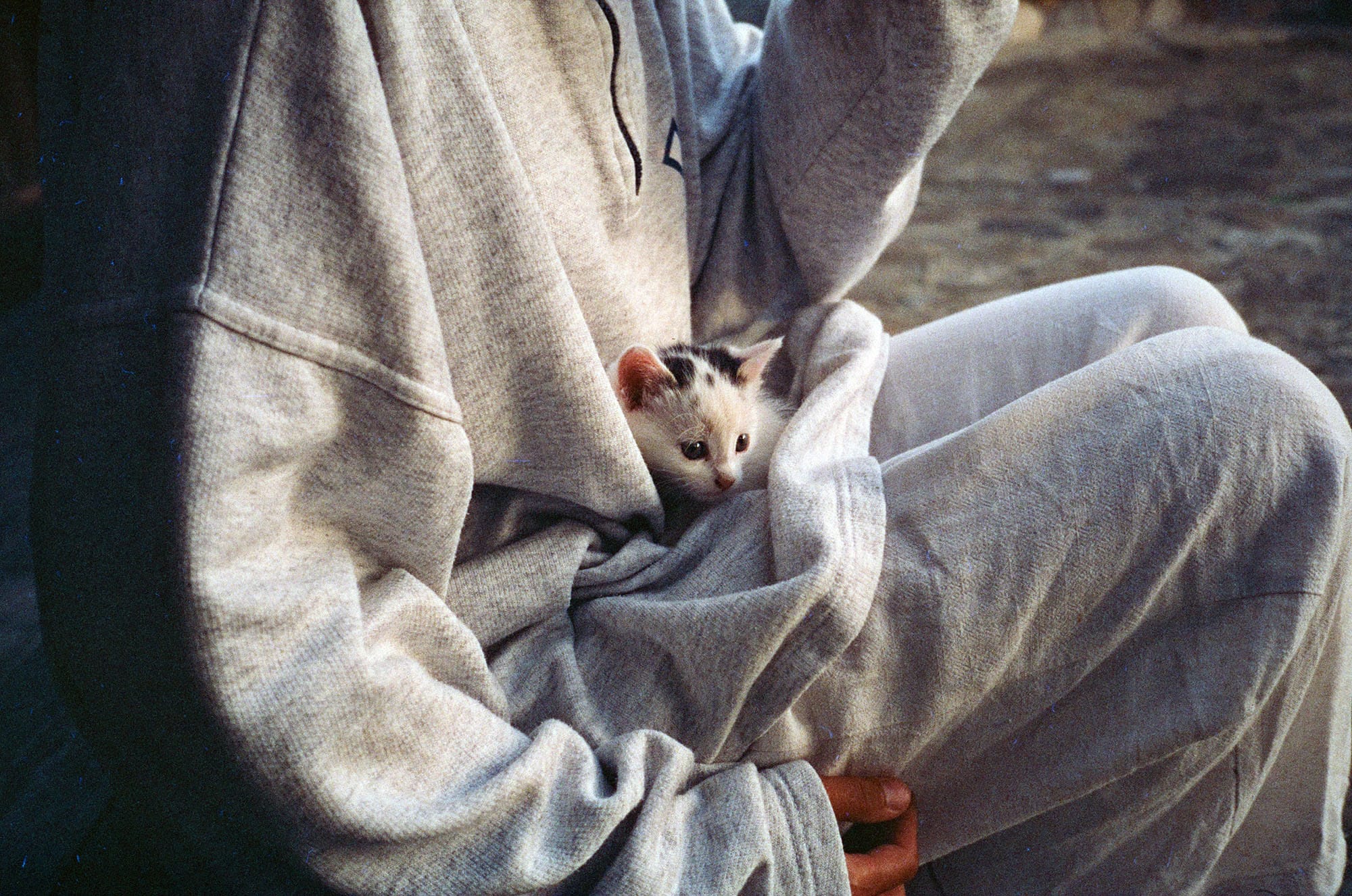 Adorable kitten nestled in beige sweater folds held against person wearing gray sweatpants with visible film grain.