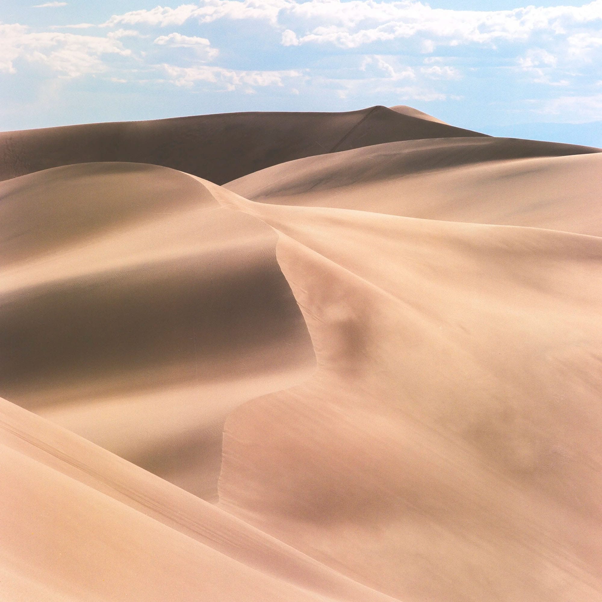 Smooth sand dunes curve under blue sky with dramatic shadows.