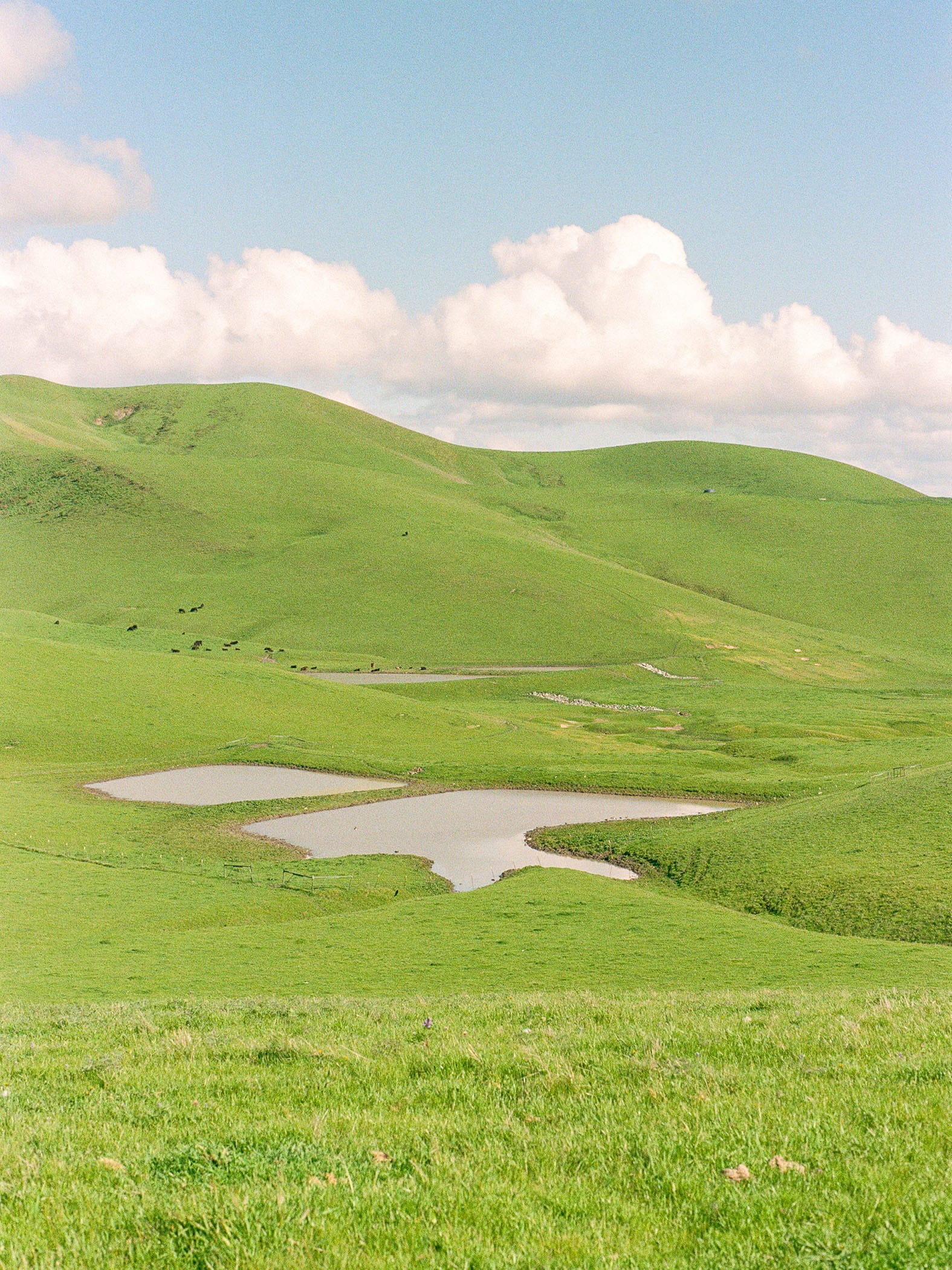 Rolling green hills with small pond under white clouds and blue sky.