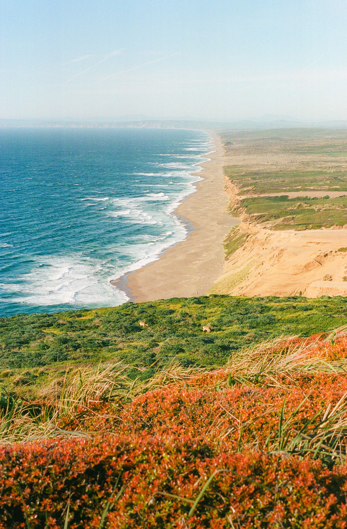 Long beach stretches along turquoise ocean with orange vegetation on coastal cliffs.