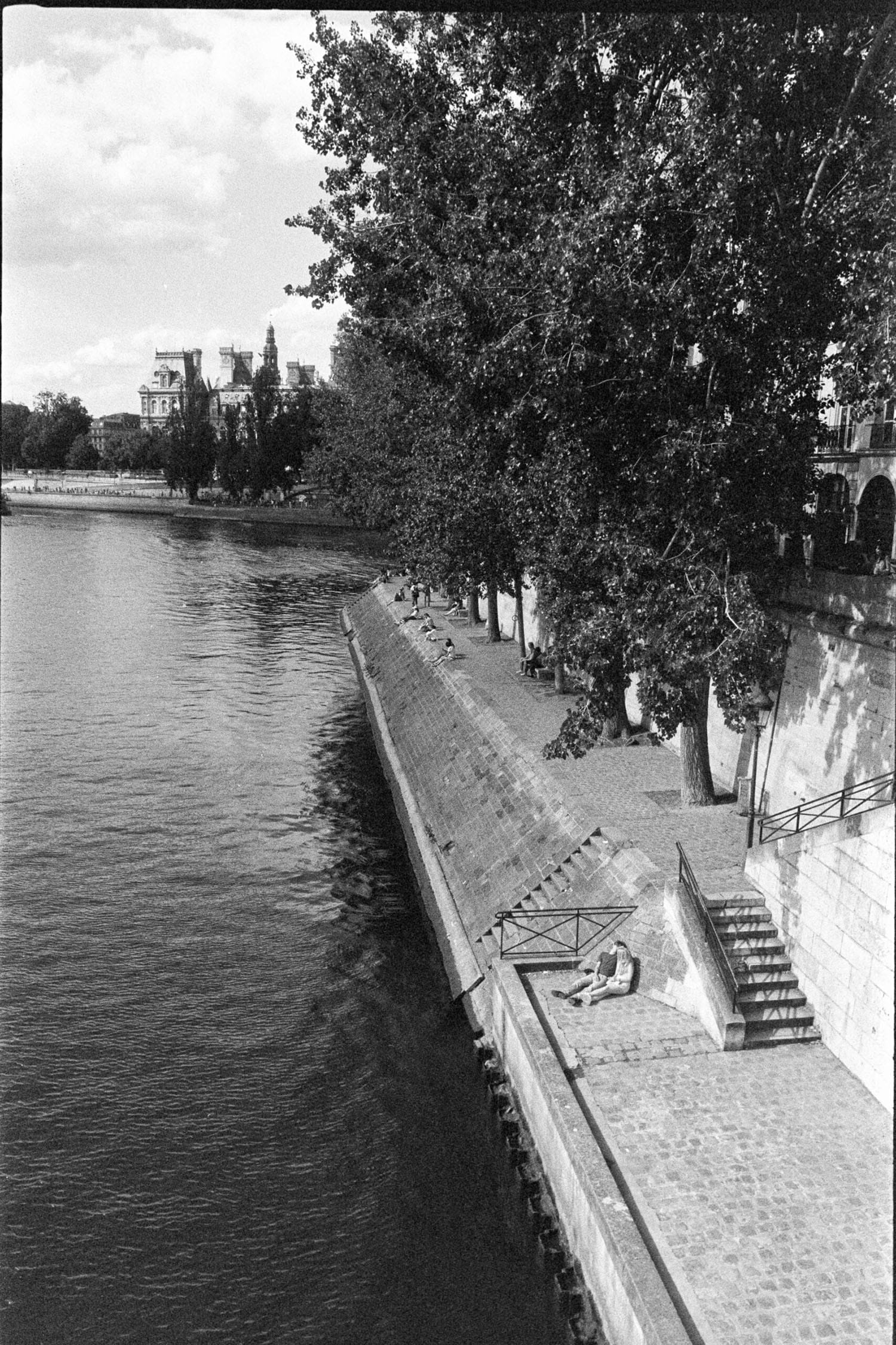 Elevated view of Seine riverbank with people relaxing under trees and classical buildings visible.