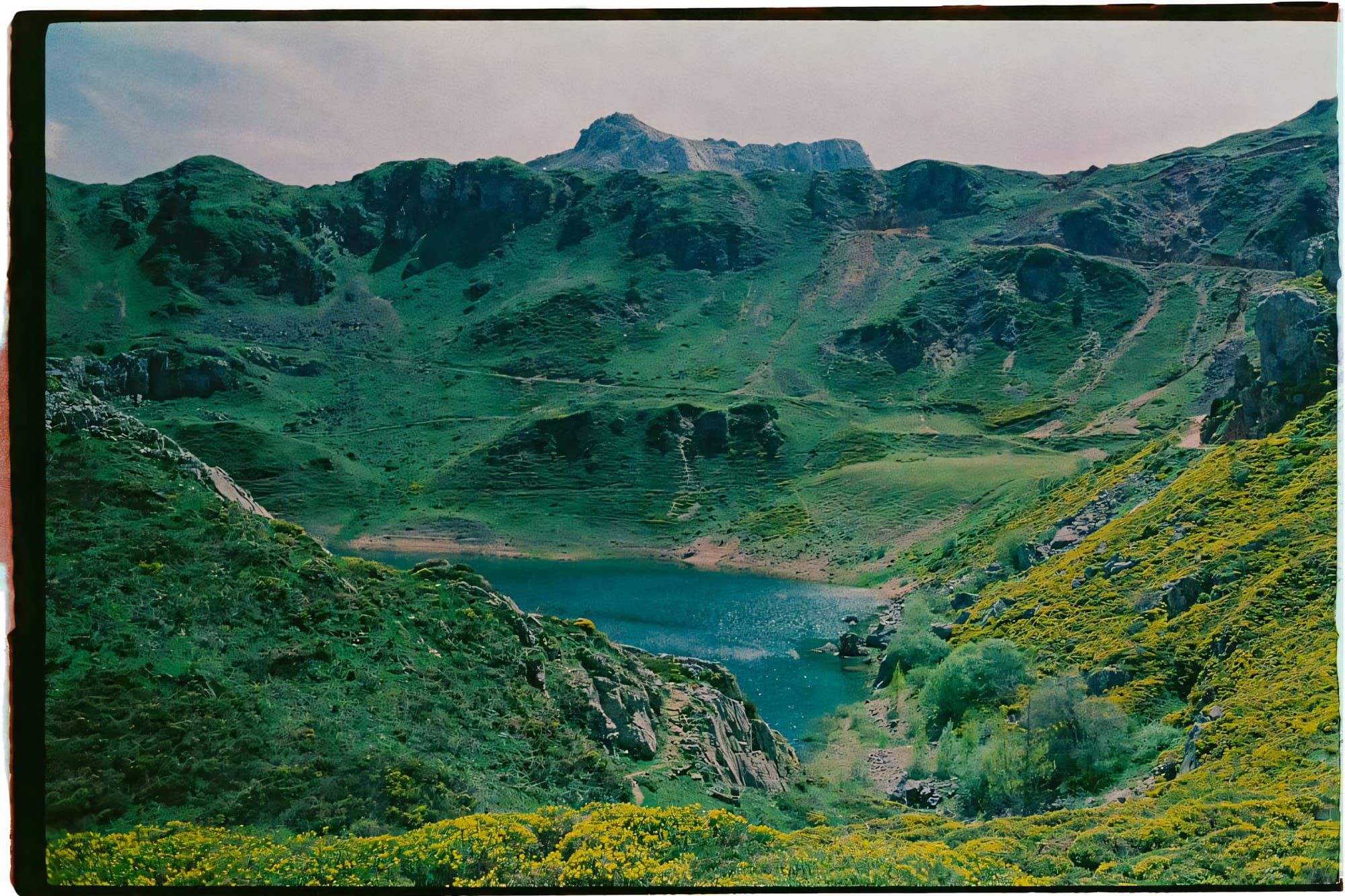 Alpine mountain lake surrounded by green slopes and yellow wildflowers on color film.