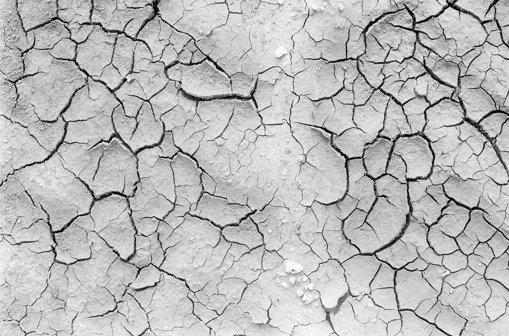 Black and white close-up of cracked dried mud texture showing drought patterns on parched ground.