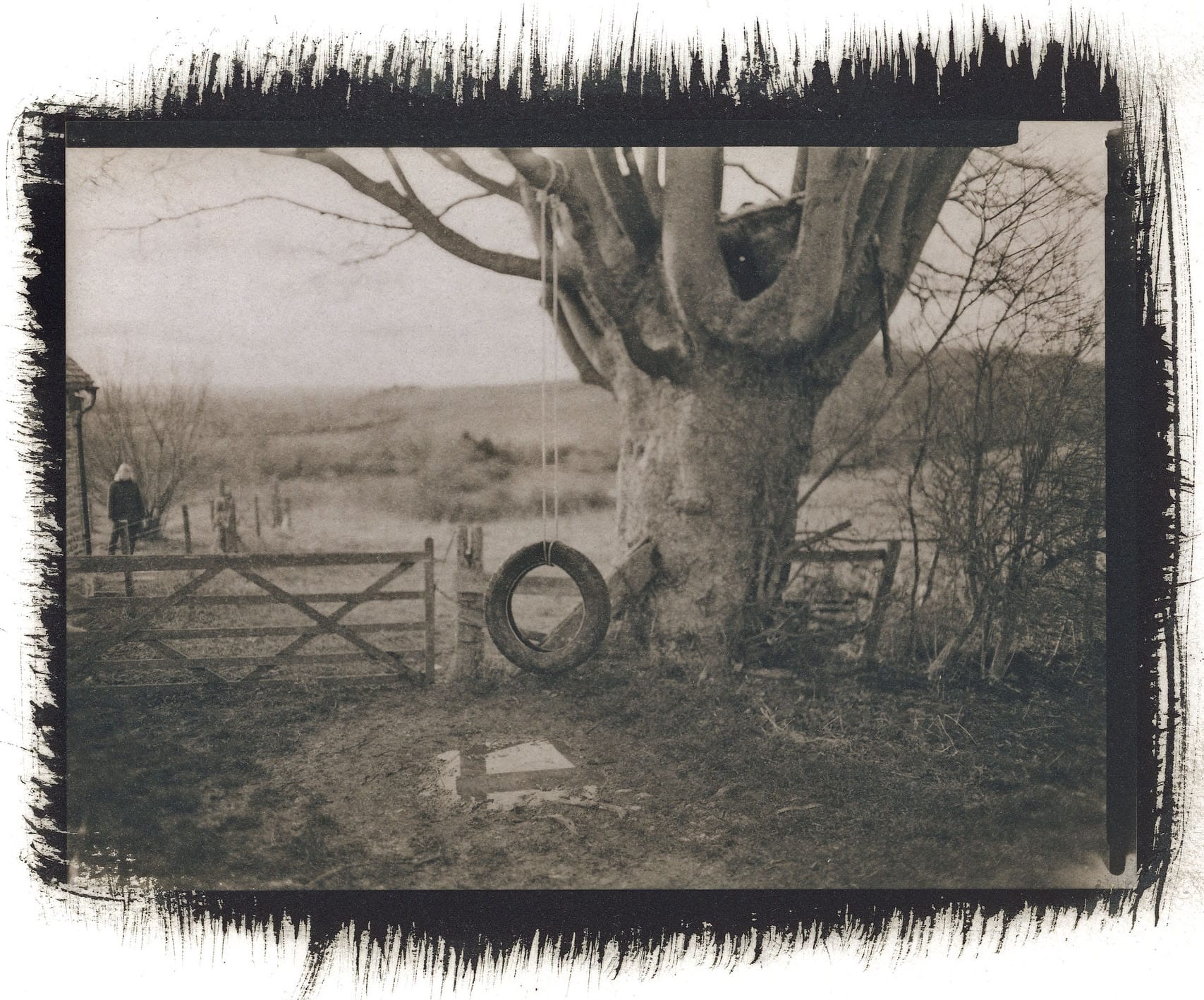 Tire swing hanging from tree in rural field with wooden gate and distant hills.